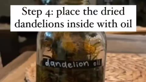 How to make Dandelion Oil~Dandelion root has a rich history of use in traditional medicine