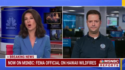 FEMA Administrator Questioned Over Maui Disaster and Reports of Lack