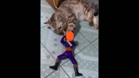 Cute Cat Playing 2021