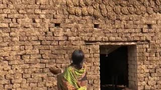 Woman has Incredible Aim with Dried Dung