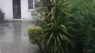 ASMR Sounds of Heavy Rain and Thundering after Hot Humid Weather UK