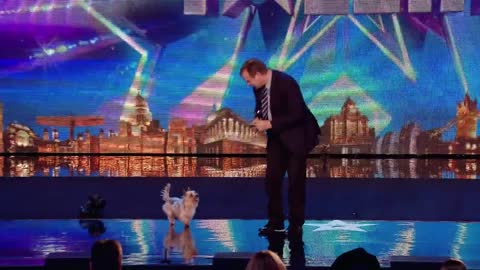 TOO FUNNY! Dog chases Ant around the stage! I Audition I