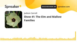 Show 41: The Elm and Mallow Families (part 2 of 3)