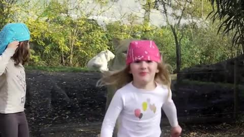 little girl facing the lion