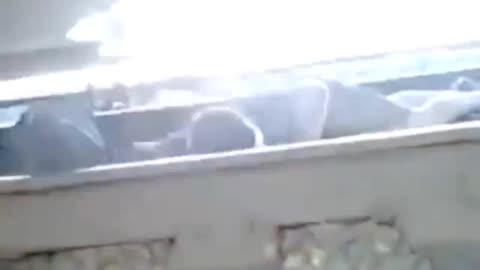 Dude stuck under a moving train escapes between its rails...🤦‍♂️