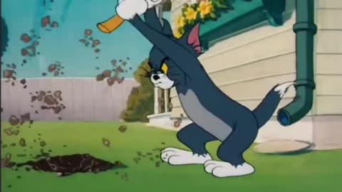 Tom and jerry old episode