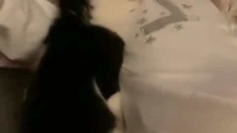 Black cat sleep with baby