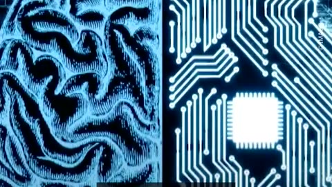 Computer chip with built-in human brain tissue gets military funding