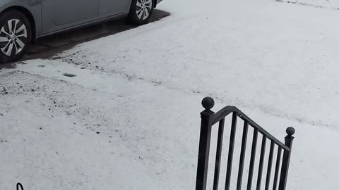 Snow, Dearborn, Michigan, Feb. 15, 2024, About 12:33 P.M.