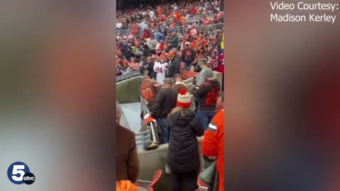 Rally Skunk found in the stands of Browns-Bucs game