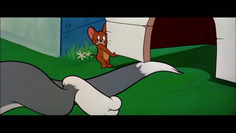 Tom & Jerry Tom & Jerry in Full Screen Classic Cartoon Compilation WB Kids