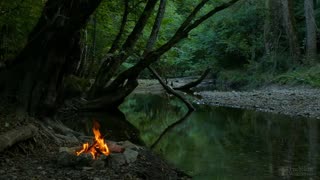 4K Campfire by the River - Relaxing Fireplace & Nature Sounds - Robin Birdsong - UHD Video - 2160p