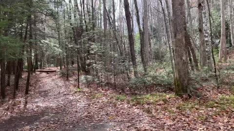 Elkmont Campground on the River, Historic Tour in the Great Smokey Mountains