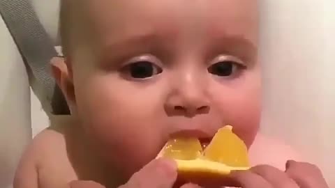 Cute Baby Video16