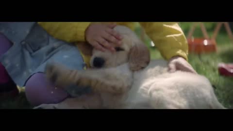 Heart touching story, movie a dog named palma please dont abandoned dog emotional dog