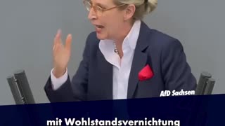 Alice Weidel im Bundestag zum Heizungsgesetz