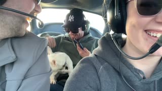 Dog Experiences Zero Gravity Flight