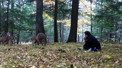 Hombre seduce increíblemente a un ciervo salvaje en el bosque