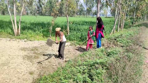 Very Beautiful Village Life In India Uttar Pradesh | Real Village Life UP | Indian Farmer LifeStyle