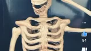 skeleton is a musician