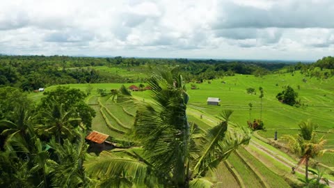 Bali in 8k ULTRA HD HDR - Paradise of Asia (120 FPS)