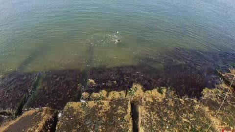 It is Crazy Out Here | Fishing Galveston Surf