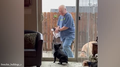 If These Funny Dogs and Cats Videos Don't Make You Smile, Nothing Will