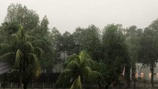 Rain in Singapore