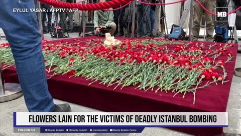 Flowers lain for the victims of deadly Istanbul bombing