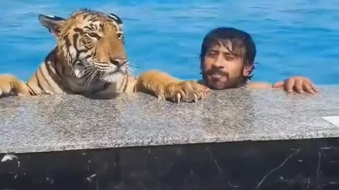 Swimming with big cat😍