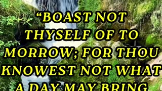 Boast not thyself of to morrow; for thou knowest not what a day may bring forth