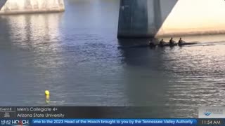 ASU Rowing 4-man at Chattanooga Hooch 2023 - with slowmo