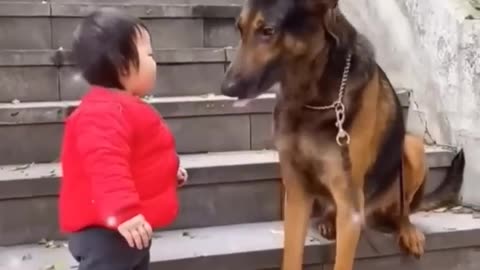 The cutest babysitter ever#cutebaby # dog