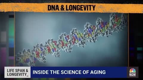 Researchers Say They Are Close To Reversing Aging