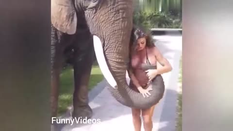 hot girl with funny animals