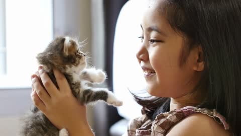 Little Asian child playing her kitten