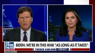 Tulsi Gabbard tells Tucker the Biden admin have been 'busted' on 'absurd cover-up'