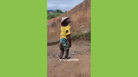 Incredible but funny part 2🥰😅😅😅😅😅😅 I believe this video Will Make your day lovely