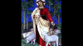 Shepherd Me