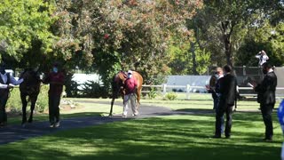 2021 L'Ormarins Queen's Plate- Day 1