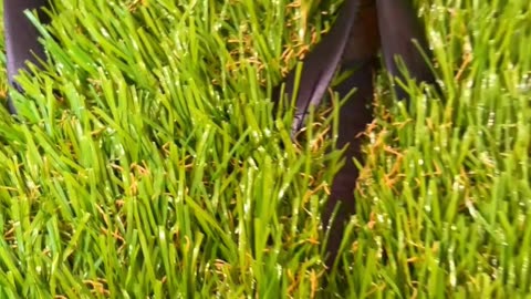What is artificial grass flip flops?