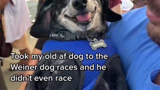 He didn't even race!