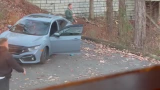 Bear Opens Car Door for a Snack in Tennessee