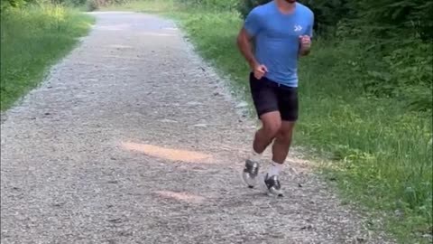 How dogs would run if they were people.