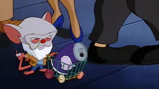 Pinky e o Cerebro - Temporada 01 - Episodio 09 - Bola de Neve