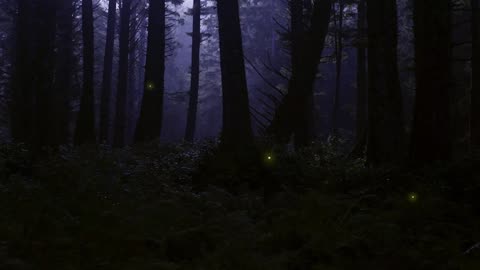 Relaxing Music for Sleep or Stress Relief - Calming firefly display. Links to the sources in description
