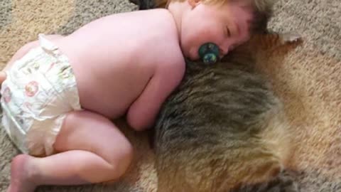 Cat Loves His Baby Brother And Decides To Become His Cuddle Buddy