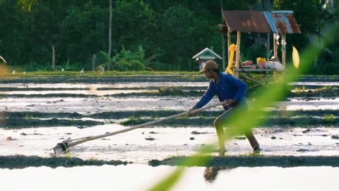 Petani Indonesia