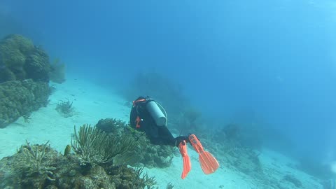 Ginger's Island, British Virgin Islands #2