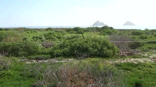 Kailua, HI — Flat Island #1